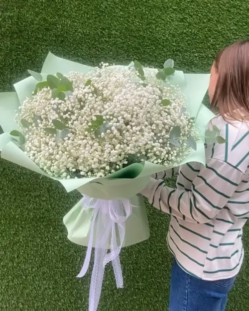 Монобукет из гипсофил