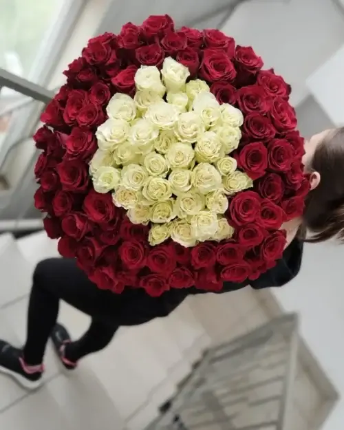 101 роза Эквадор