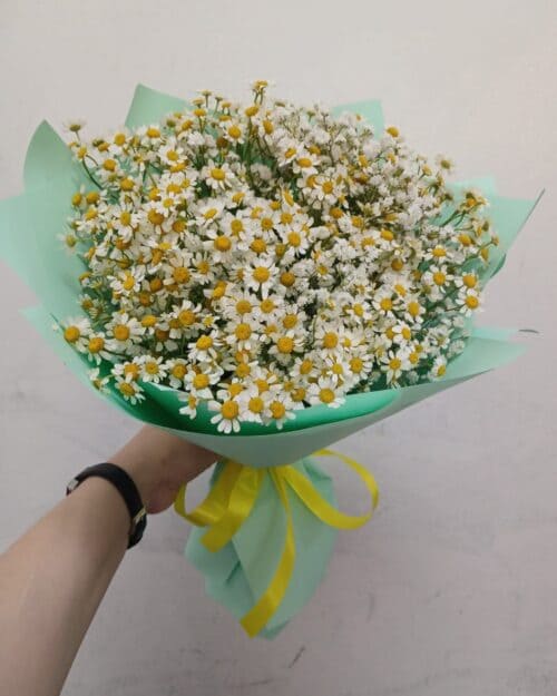 Букет из  кустовых ромашек (танацетум)